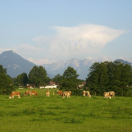 Gasthaus Kellerer Raubling Kültér fotó