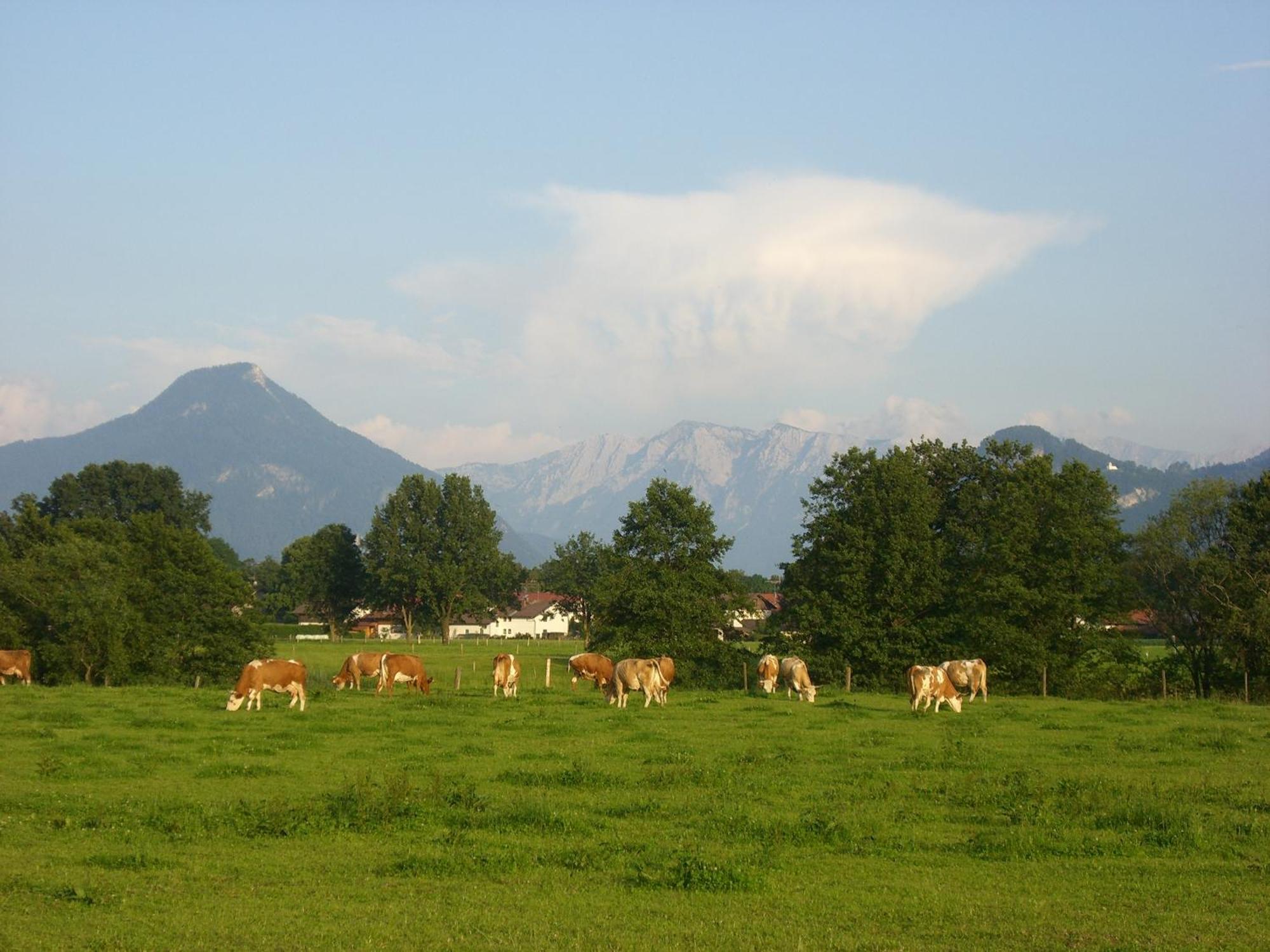 Gasthaus Kellerer Raubling Kültér fotó